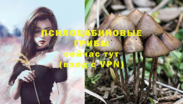 каннабис Баксан