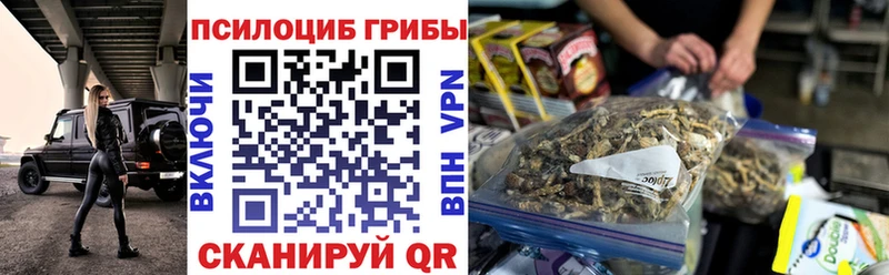 купить наркотики цена Бикин Псилоцибиновые грибы прущие грибы