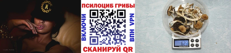 Галлюциногенные грибы Psilocybe Бикин